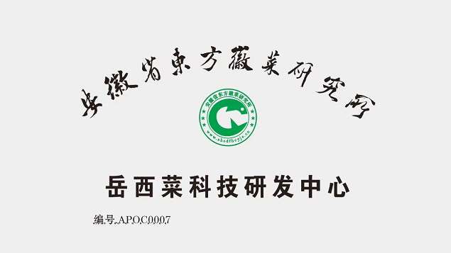 岳西菜科技研发中心